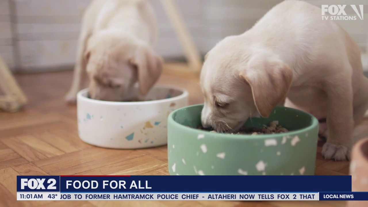 Lori's Stories: Pet Food Drive