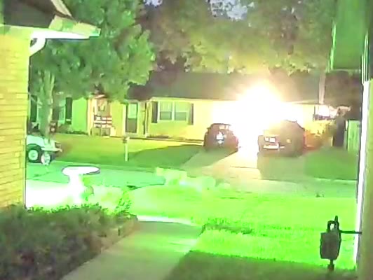 VIDEO: Coyotes viciously attack woman's cat in Arlington