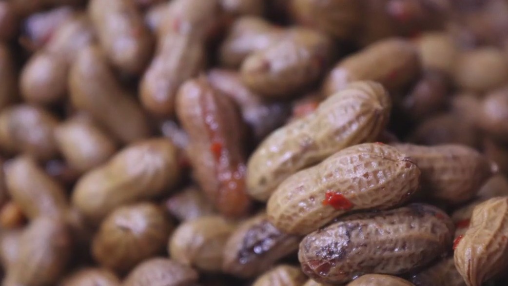 Tampa company specializes in boiled peanuts