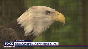 Explore Moccasin Lake Nature Park for free