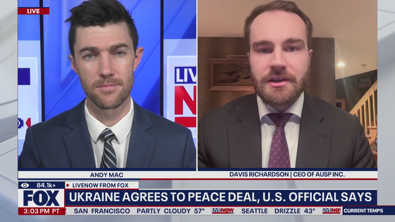 Ukraine agrees to peace deal, ‘minor details’ remain