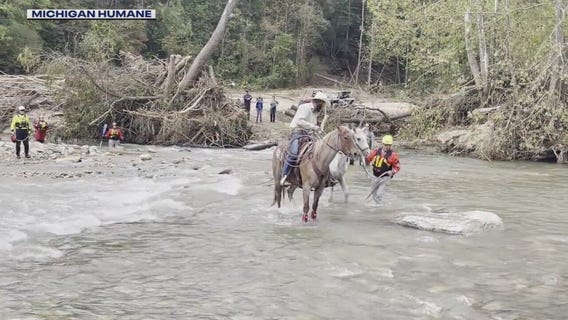 Specialized Michigan Humane crew works to rescue pets in North Carolina