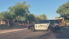 4 people stung by bee swarm in Mesa