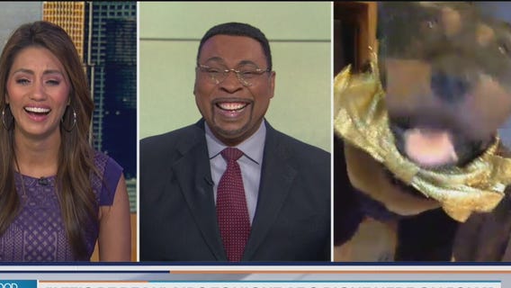 Robert Smigel and a surprise guest talk about FOX's Let's Be Real