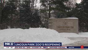Lincoln Park Zoo prepares for reopening