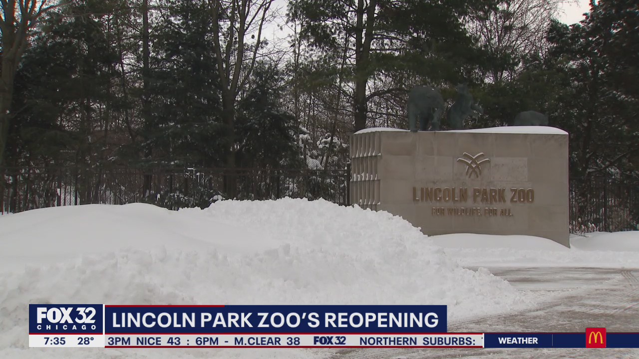 Lincoln Park Zoo prepares for reopening