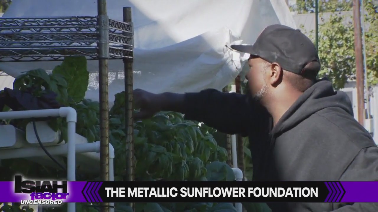 Visiting the Metallic Sunflower Foundation in Houston's Acres Homes