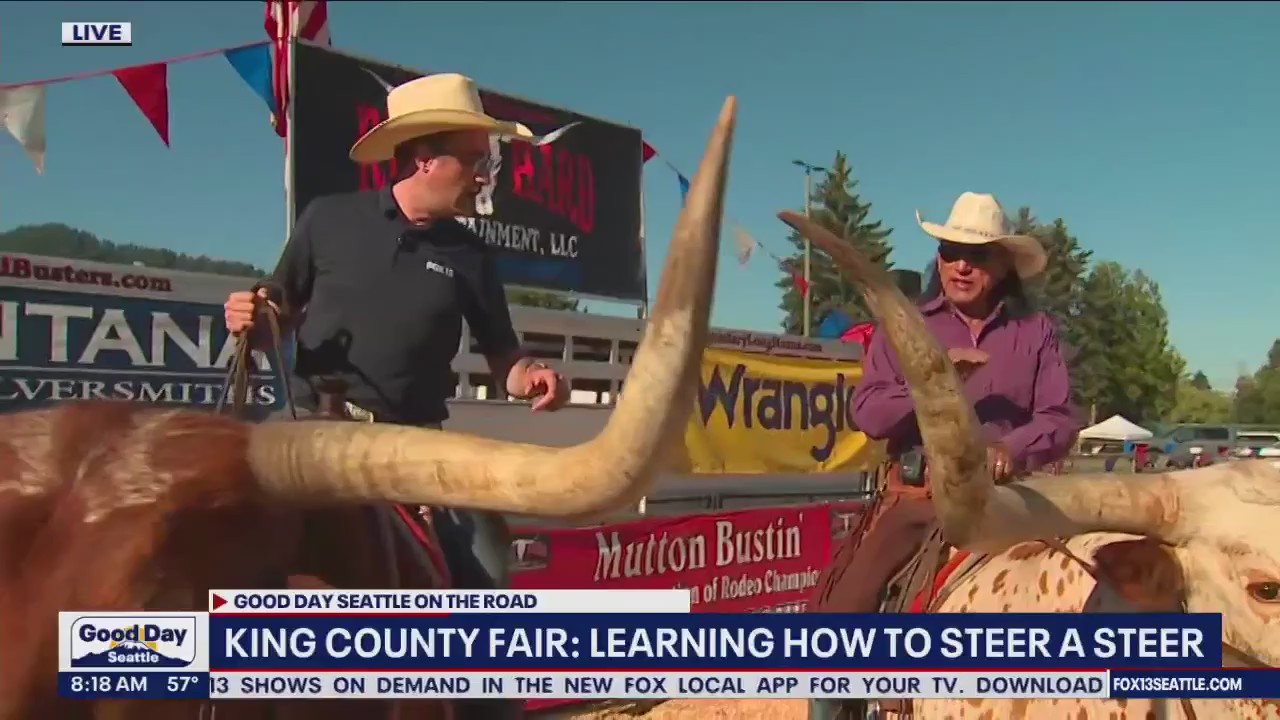 King County Fair: Learning how to steer a steer