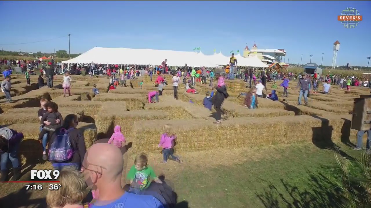 Seever's Corn Maze open until Oct. 28