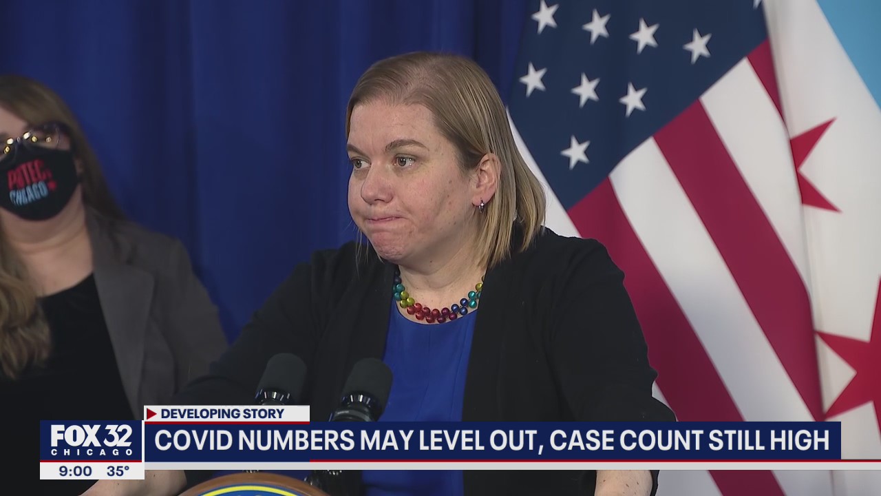 Chicago's top doctor: COVID-19 numbers may level out, case count still high