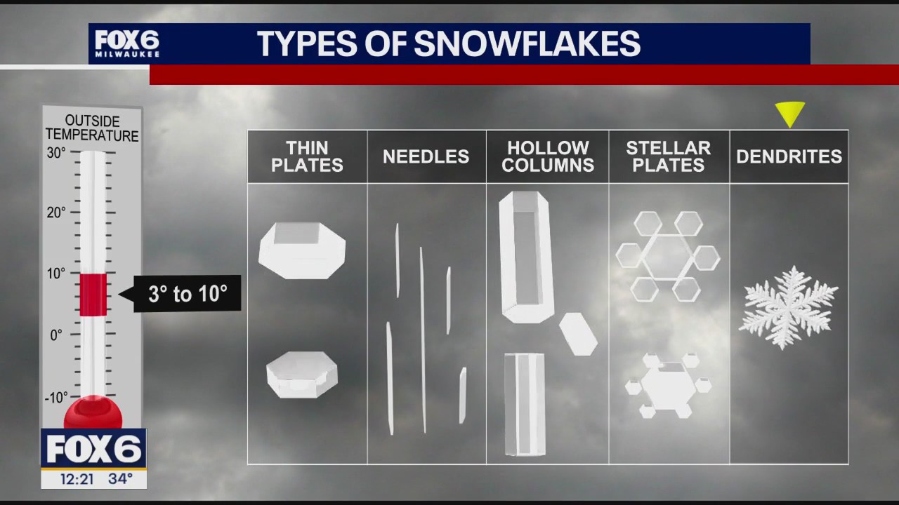 Wisconsin Weather Experts | November 10, 2025