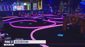 Family entertainment center at Citrus Park Town Center