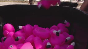 Children's Dream Fund's unique holiday fundraiser