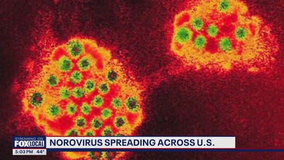 How to protect yourself from norovirus as it spreads across US