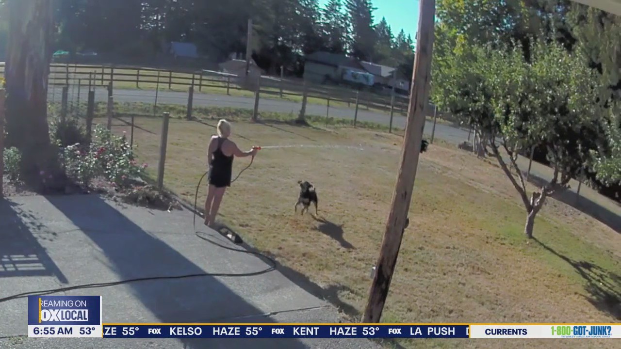 Pet Tricks for Thursday, October 23