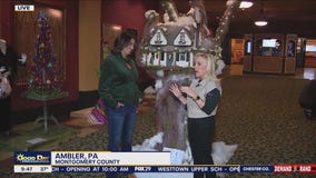 Ambler's First-Ever Festival of Trees