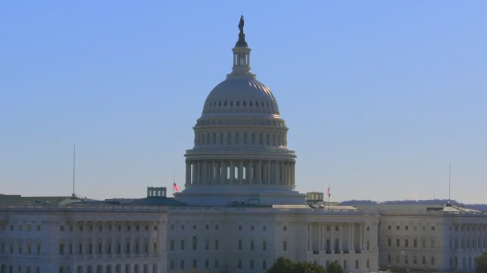 Trump one year in: immigration, economy, global tensions