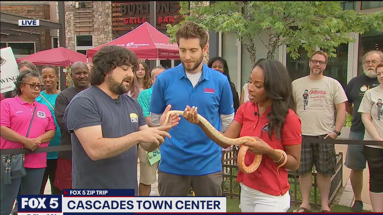 FOX 5 Zip Trip Sterling: Slithery fun with snakes!