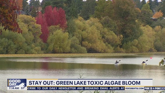 Stay Out: Toxic algae bloom prompts advisory for Green Lake
