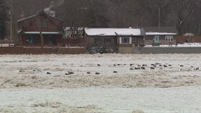 Ice jam floods roads in Wilmington, Illinois