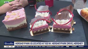 Hershey Park serving up rollercoaster-themed food for Wildcat's Revenge