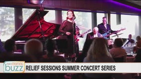 Filling the State Fair music void: "Relief Sessions Series" headed to Burnsville