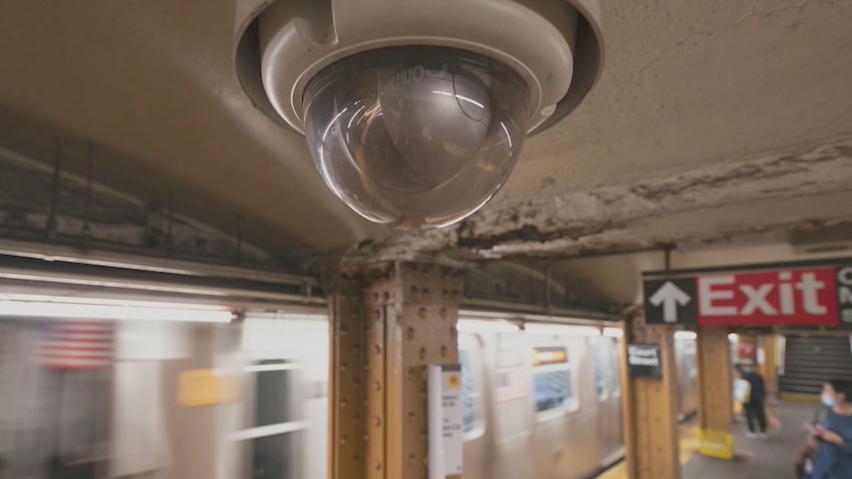 What is Sedrick's Law?