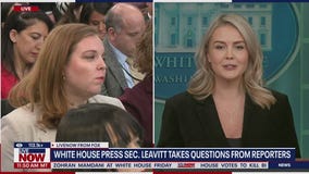 White House responds to 'quiet, piggy' comment