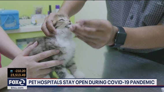 Pet hospitals remain open during COVID-19 pandemic