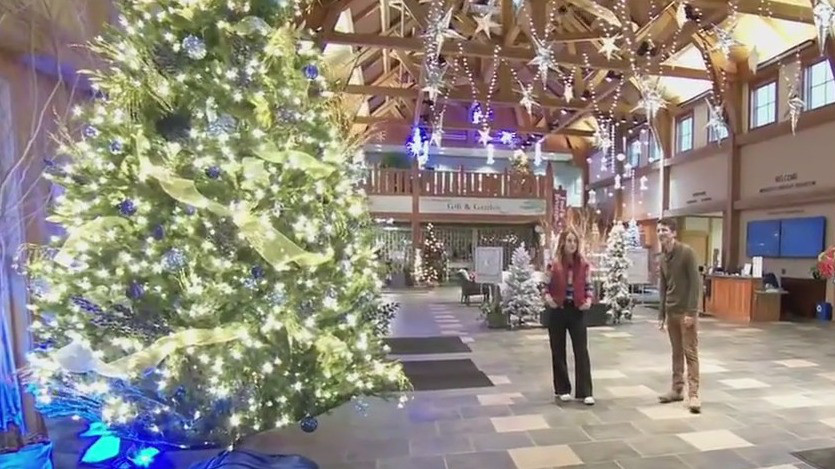 Arboretum all aglow for holiday light experience