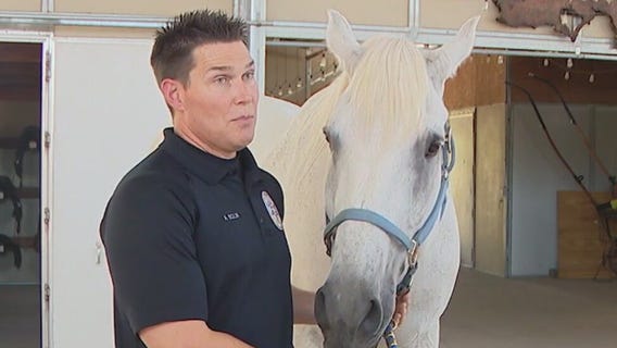 Scottsdale Police horse, Aiden, retires