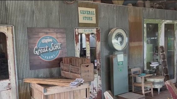 Long and Scott?s Farm prepares for potential final fall season