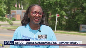 Circuit judge candidates on primary ballot