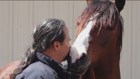 The healing power of horse therapy for veterans