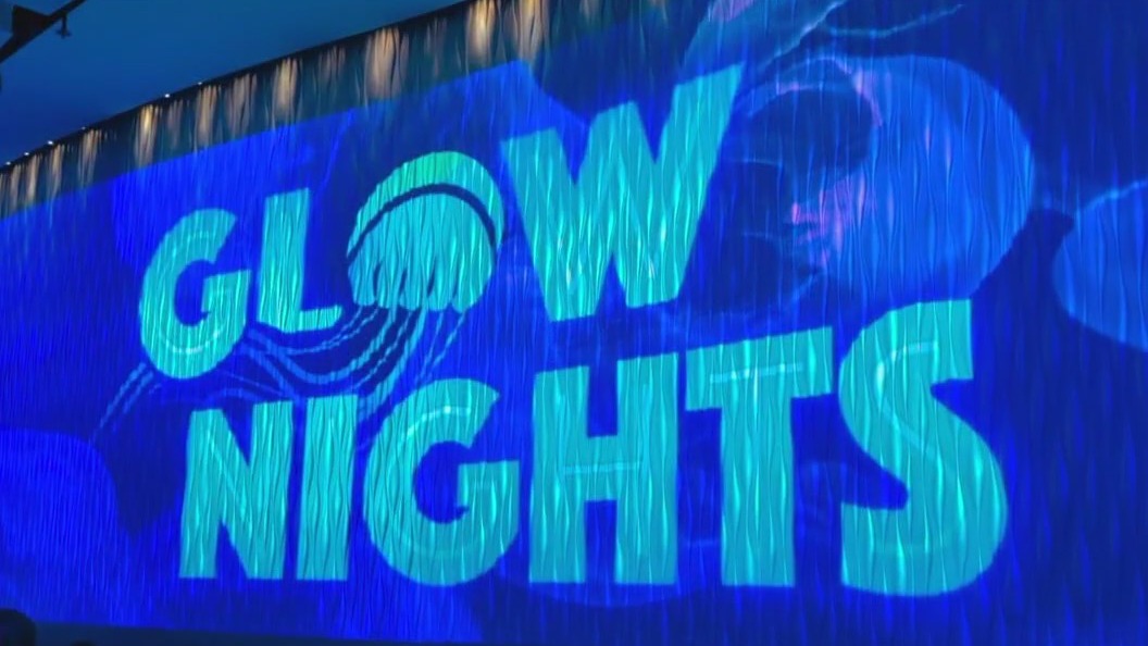 Glow Nights light up Georgia Aquarium