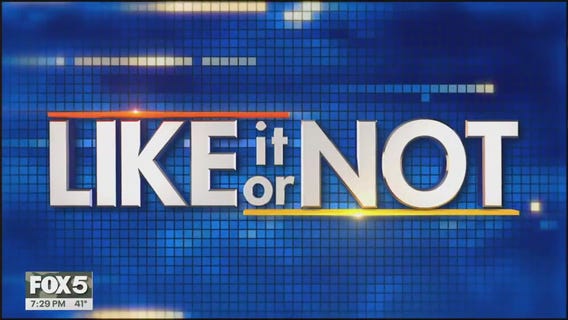 LION: November 11, 2025