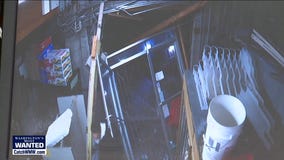 WANTED: Tylor Saeteurn