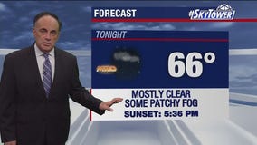 Tampa weather | Mostly sunny and pleasant