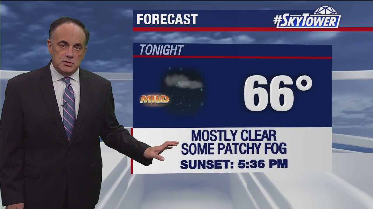 Tampa weather | Mostly sunny and pleasant