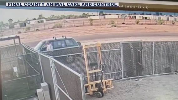 Man seen abandoning dog behind Pinal County animal shelter