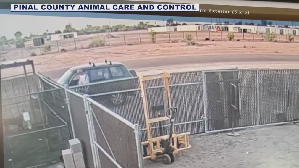 Man seen abandoning dog behind Pinal County animal shelter