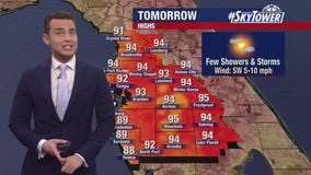 Tampa weather | Mild and muggy conditions