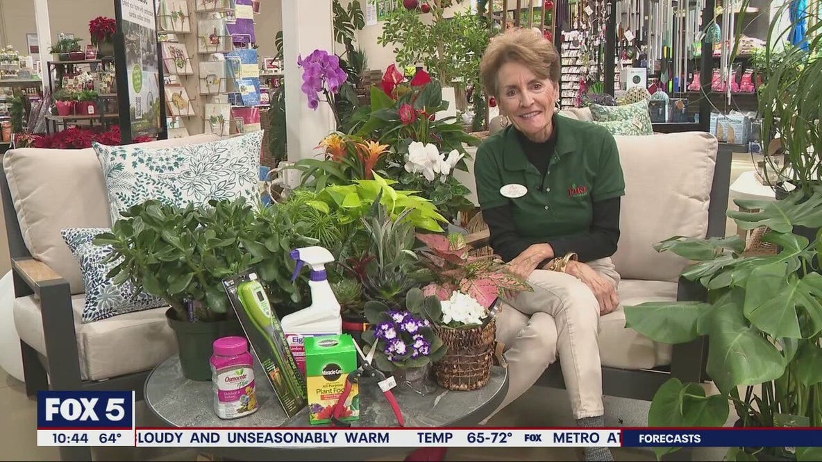Rena Sartain of Pike Nursery
