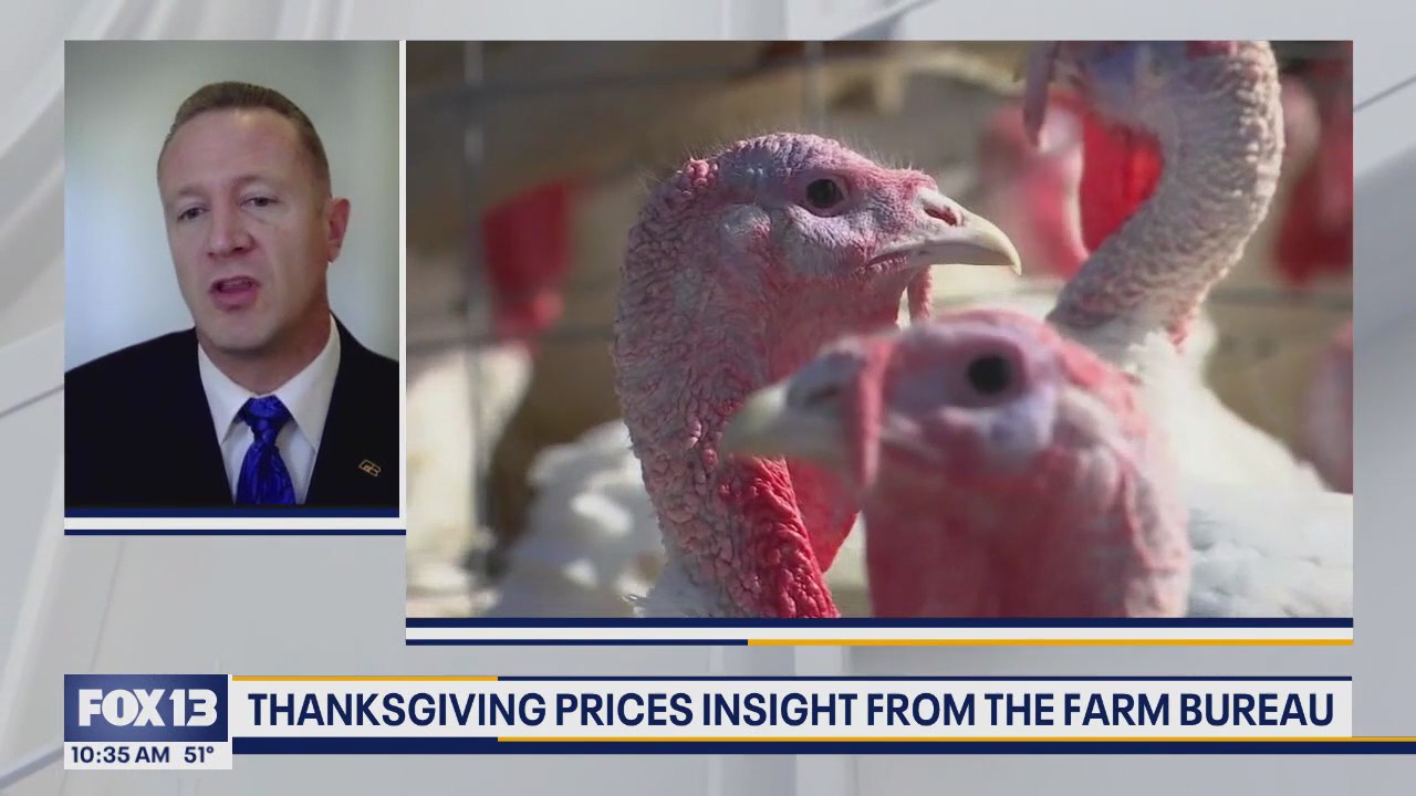 Thanksgiving prices insight from the American Farm Bureau Federation