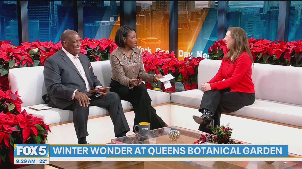 Non-touristy holiday gems around the city