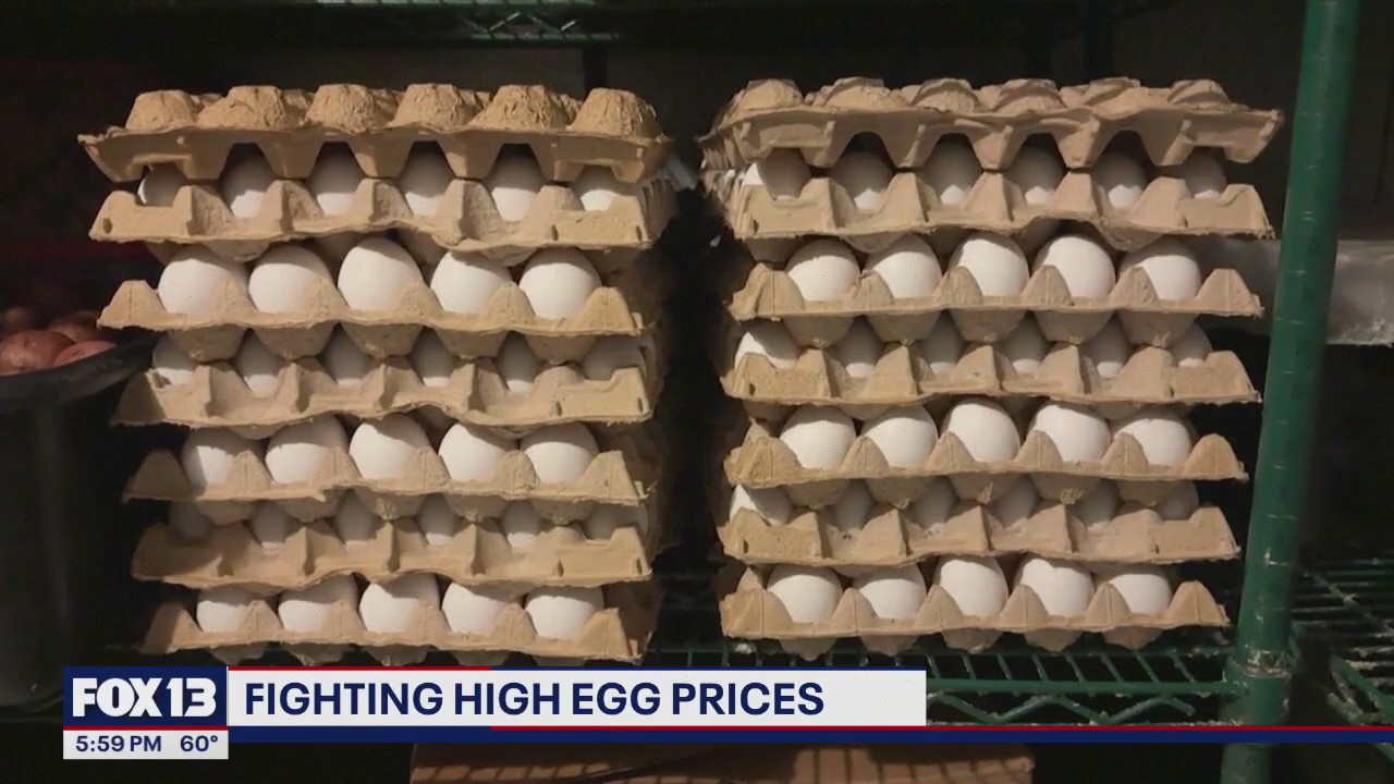 US plan to fight high egg prices