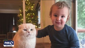 Toddler killed in Sonoma County during deadly storm