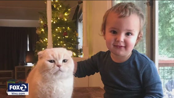 Toddler killed in Sonoma County during deadly storm