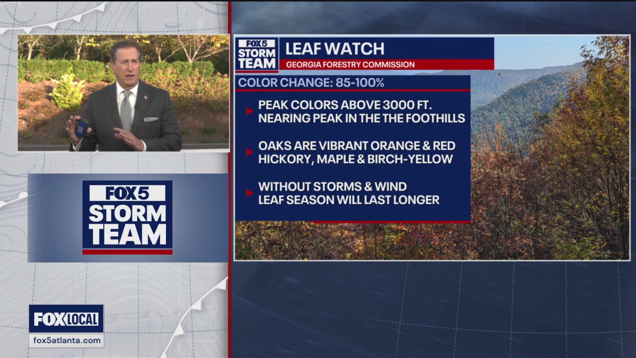 Leaf Watch | Oct. 31, 2024