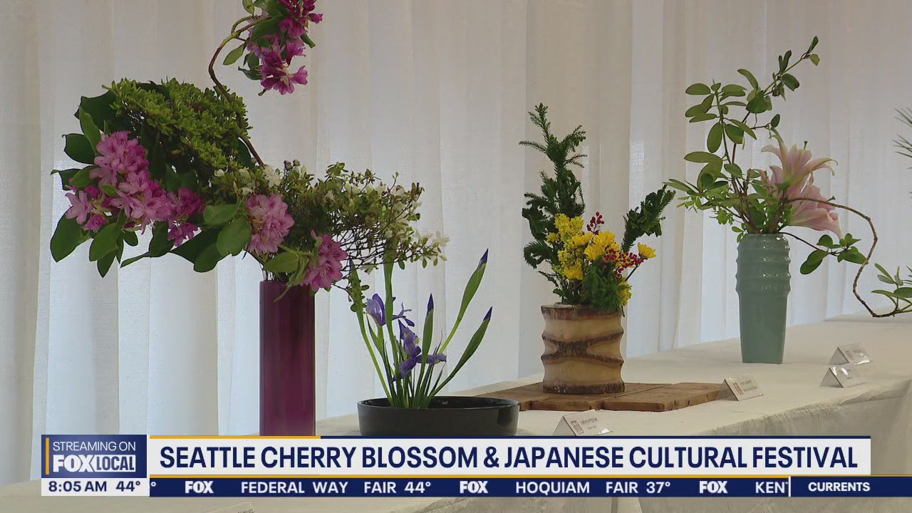 Seattle Cherry Blossom and Japanese Cultural Festival